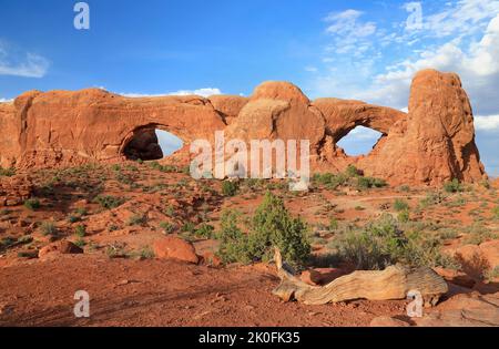 Finestre Sud e Nord nel Parco Nazionale di Arches, Utah, USA Foto Stock