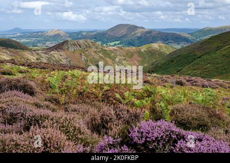 Vista sulla valle di Brook dal Long Mynd verso Caer Caradoc, Church Stretton, Shropshire Foto Stock