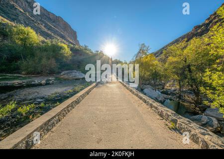 Sole sopra il ponte dritto in cemento sul torrente nel Sabino Canyon state Park, Tucson, Arizona. Creek con rocce e alberi accanto nel mezzo di dese Foto Stock