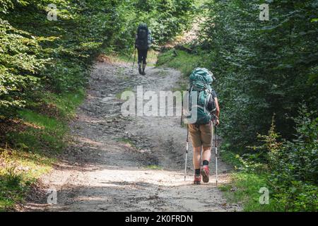 Escursionisti sul sentiero. Due escursionisti con zaini e bastoni vanno in salita sul sentiero roccioso nella foresta. Focalizzazione selettiva sul primo escursionista Foto Stock