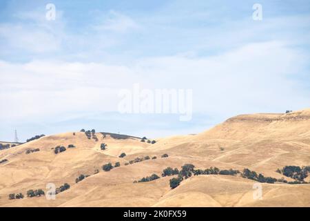 Colline ondulate con pennello deserto in verde, coperto di siccità erba bruna. Cielo blu con nuvole. Foto Stock