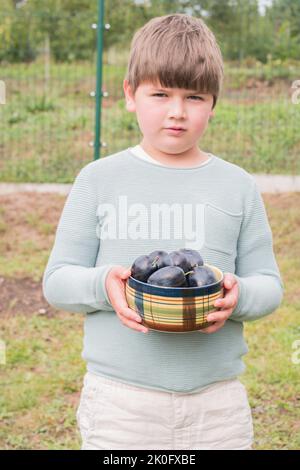 Ragazzo di sette anni che tiene in mano una ciotola in ceramica piena di prugne fresche organiche. Prelevato dall'albero. Bambino che aiuta nel giardino con la raccolta. Foto Stock