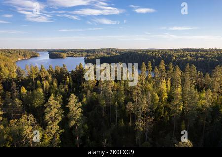 Paesaggio naturale nel parco nazionale di Nuuksio in Finlandia Foto Stock