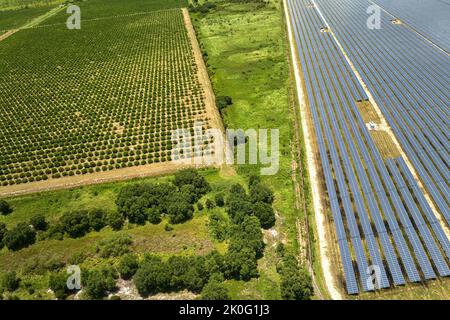 Vista aerea di una centrale elettrica sostenibile tra campi agricoli con pannelli fotovoltaici solari per la produzione di energia elettrica pulita Foto Stock