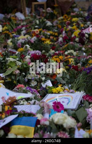 Londra, Regno Unito. 11th settembre 2022. Migliaia di tributi floreali hanno tappezzato il Green Park di Londra dopo la morte della Regina Elisabetta II Credit: Sarah Peters/Alamy Live News Foto Stock