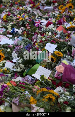 Londra, Regno Unito. 11th settembre 2022. Migliaia di tributi floreali hanno tappezzato il Green Park di Londra dopo la morte della Regina Elisabetta II Credit: Sarah Peters/Alamy Live News Foto Stock