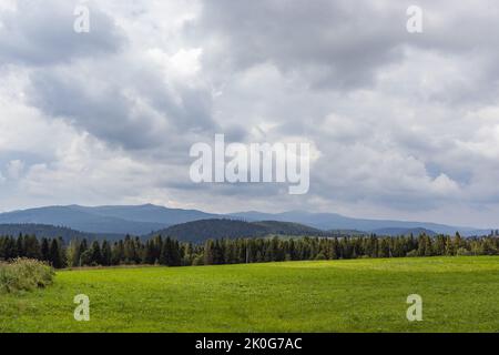 Prato di montagna in Carpazi. Campagna paesaggio estivo con valli e colline erbose. Concetto di freschezza della natura Foto Stock