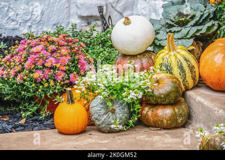 Autunno all'aperto zucca e fiori disposizione su gradini - fuoco selettivo Foto Stock