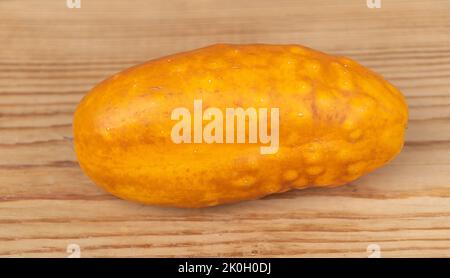 Un cetriolo giallo invecchiato conservato per la produzione di sementi su sfondo legno - concetto di agricoltura Foto Stock