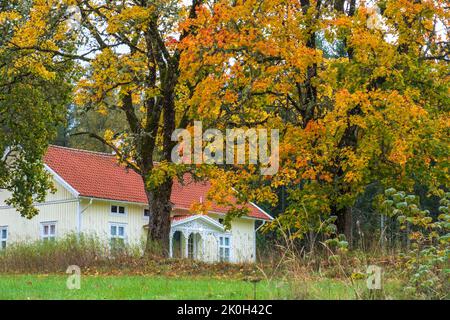 Ristrutturato vecchia casa nella foresta Foto Stock