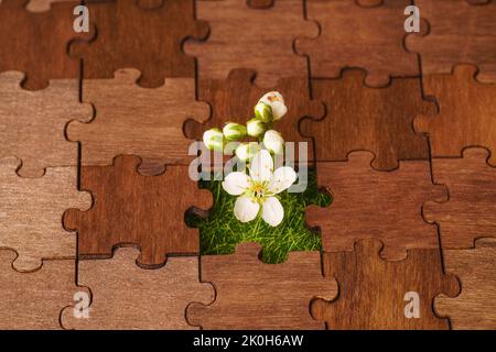 Fiori freschi che sbocciano attraverso un foro in un puzzle. Concetto di potenza della vita. Foto Stock