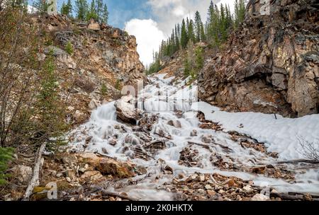 Una bella vista di una cascata in una foresta con alberi e rocce Foto Stock