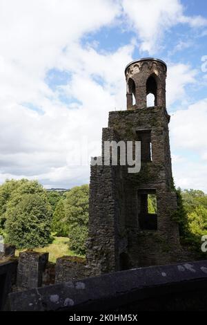 Uno scatto verticale della Torre di osservazione al castello di Blarney, Irlanda Foto Stock