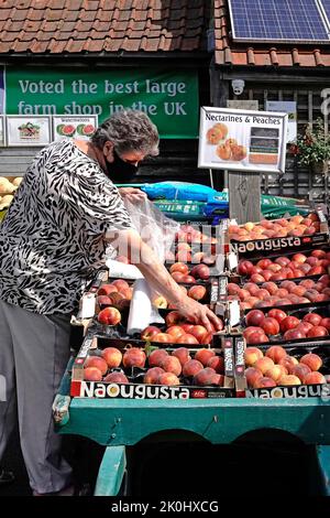 Donna anziana matura shopper Covid 19 maschera acquistare da drogheria barrow nettarine & pesche frutta in scatole di cartone farm shop ingresso Essex Inghilterra UK Foto Stock