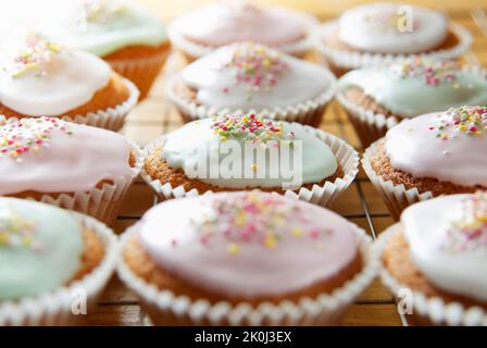 Pane appena sfornato tortine in fila su di un vassoio di raffreddamento Foto Stock