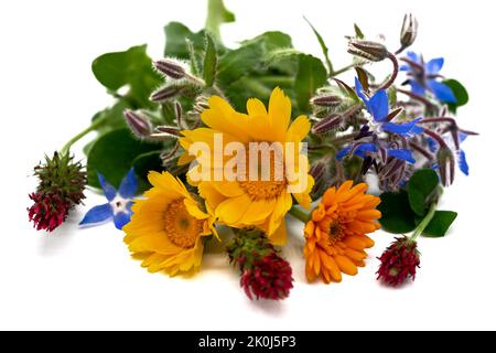 Colorato bouquet di fiori autunnali su sfondo bianco Foto Stock