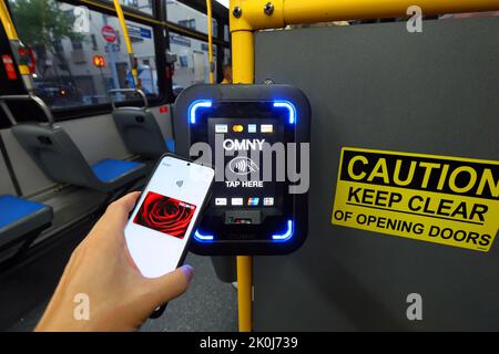 Uno smartphone con tecnologia NFC e Google Wallet tocca un lettore di pagamenti senza contatto OMNY su un autobus NYC Transit. Foto Stock