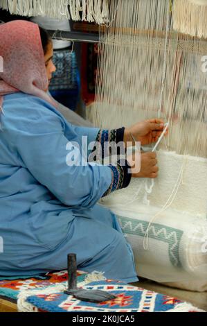 Weaver, Sidi Bou Said, Tunisia, Nord Africa, Africa Foto Stock