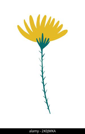 Illustrazione vettoriale di un fiore di dente di leone di campo giallo disegnato in uno stile piatto. Illustrazione Vettoriale