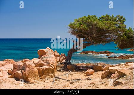 Spiaggia, Lispedda Cardedu Ogliastra, Sardegna, Italia, Europa Foto Stock