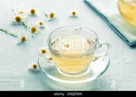 Tè Camomile in una tazza, un infuso di erbe per rilassarsi, erbe biologiche Foto Stock