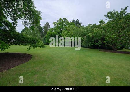 Una vista di una distesa di prato verde, curata, perfetta in una giornata grigia, piovosa, al giardino botanico dell'Università di Cambridge. A Cambridge, Inghilterra, Foto Stock