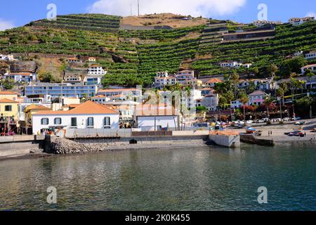 Camara do Lobos, mare e porto, Madeira, Portogallo Foto Stock