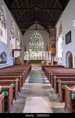 Vista sulla navata centrale con pareti imbiancate, organo e vetrate. All'interno della chiesa di Little St Mary a Cambridge, Inghilterra, Regno Unito. Foto Stock