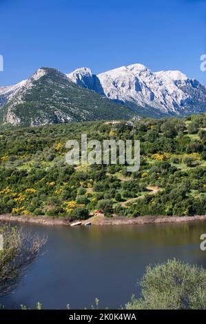 Fiume Cedrino e Monte Corrasi, Dorgali, Oliena, Nuoro, Sardegna, Italia, Europa Foto Stock