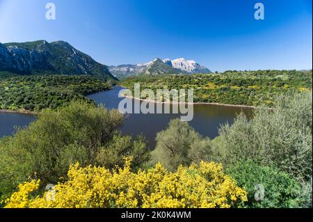 Fiume Cedrino e Monte Corrasi, Dorgali, Oliena, Nuoro, Sardegna, Italia, Europa Foto Stock