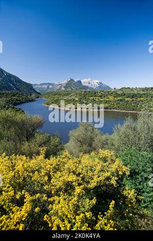 Fiume Cedrino e Monte Corrasi, Dorgali, Oliena, Nuoro, Sardegna, Italia, Europa Foto Stock