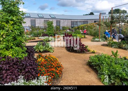 Il World Food Garden presso il RHS Wisley Garden nel mese di settembre, con il nuovo Hilltop Building for Gardening Science, Surrey, Inghilterra, Regno Unito Foto Stock