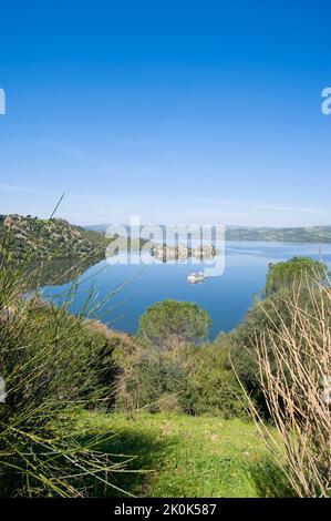 Lago Mulargia, Provincia di Cagliari, Sardegna, Italia, Europa Foto Stock