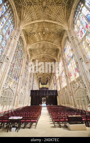 Il soffitto alto, intricato, intessuto della volta a due barili pietra scolpita del cesto della cappella del re. Al King's College di Cambridge, Inghilterra, United Kingdo Foto Stock