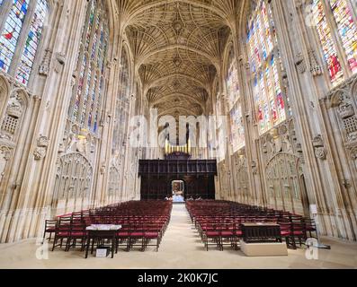 Il soffitto alto, intricato, intessuto della volta a due barili pietra scolpita del cesto della cappella del re. Al King's College di Cambridge, Inghilterra, United Kingdo Foto Stock