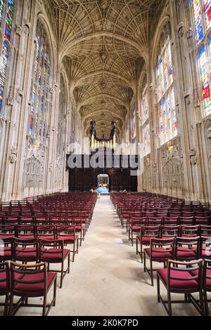 Il soffitto alto, intricato, intessuto della volta a due barili pietra scolpita del cesto della cappella del re. Al King's College di Cambridge, Inghilterra, United Kingdo Foto Stock