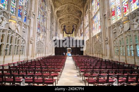 Il soffitto alto, intricato, intessuto della volta a due barili pietra scolpita del cesto della cappella del re. Al King's College di Cambridge, Inghilterra, United Kingdo Foto Stock