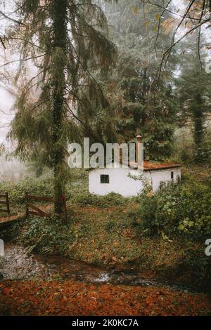 Foresta con una casa bianca e alberi circondati dalla nebbia in Spagna Foto Stock