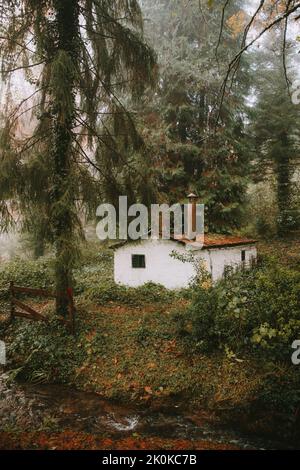 Foresta con una casa bianca e alberi circondati dalla nebbia in Spagna Foto Stock