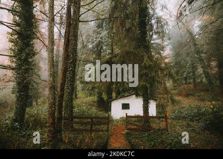 Foresta con una casa bianca e alberi circondati dalla nebbia in Spagna Foto Stock