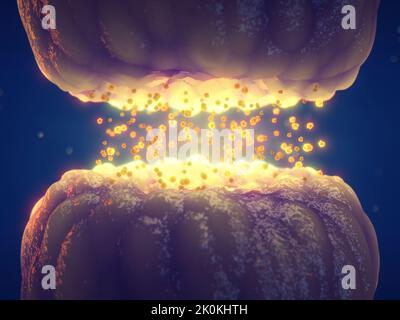 Trasmissione sinaptica tra cellule nervose (Neuroni). La trasmissione sinaptica è il processo in cui un neurone comunica attraverso neurotrasmettitori Foto Stock