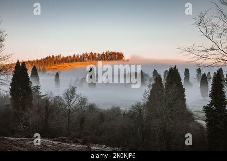Paesaggio con nebbia nei Paesi Baschi Foto Stock