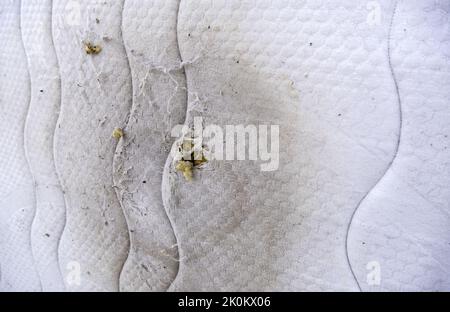 Immondizia e dettagli di inquinamento in città Foto Stock