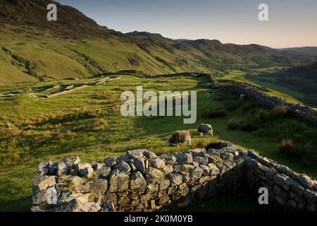 Hardknott Roman Fort, Hardknott Pass, Lake District, Cumbria, Inghilterra, REGNO UNITO Foto Stock