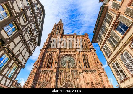 Strasburgo, Francia. Cattedrale di Notre Dame di Strasburgo. Foto Stock