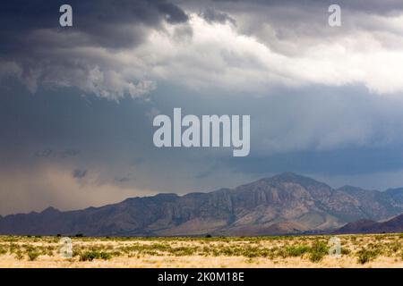Nuvole di tempesta si radunano sulla San Simon Valley e sulle montagne Chiricahua nel New Mexico USA Foto Stock