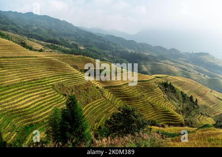 Longji Rice Terraces Cina vista aerea alba Foto Stock
