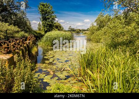 La porta chiusa ruota a Cutt Mill sul fiume Stour vicino a Hinton St Mary in Dorset e a monte di Sturminster Newton Foto Stock