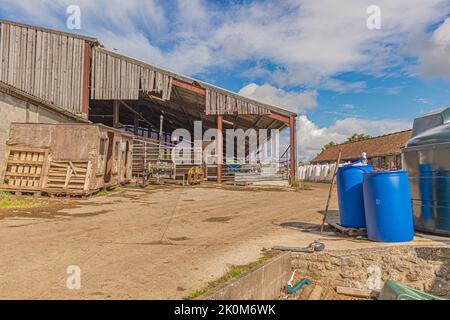Dorset Farm scena a ovest di Shaftesbury in Dorset Foto Stock