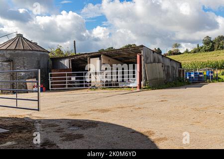 Dorset Farm scena a ovest di Shaftesbury in Dorset Foto Stock